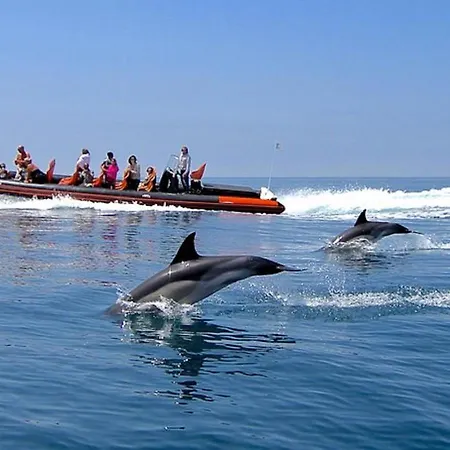 Eastview Appartement